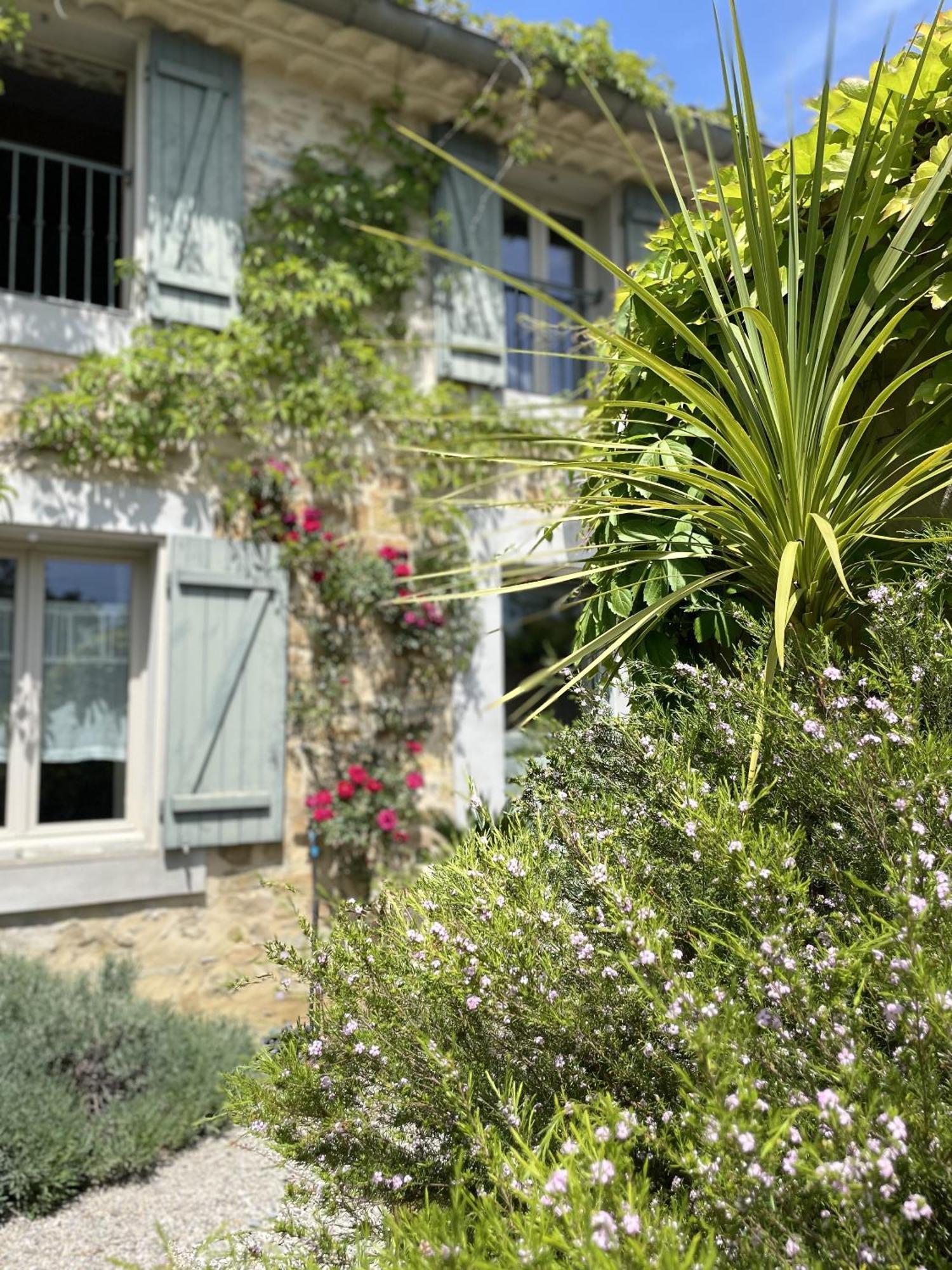 Servies-en-Val Le Domaine De La Tuilerie - Gite De Charme En Bord De Riviere Avec Piscine מראה חיצוני תמונה