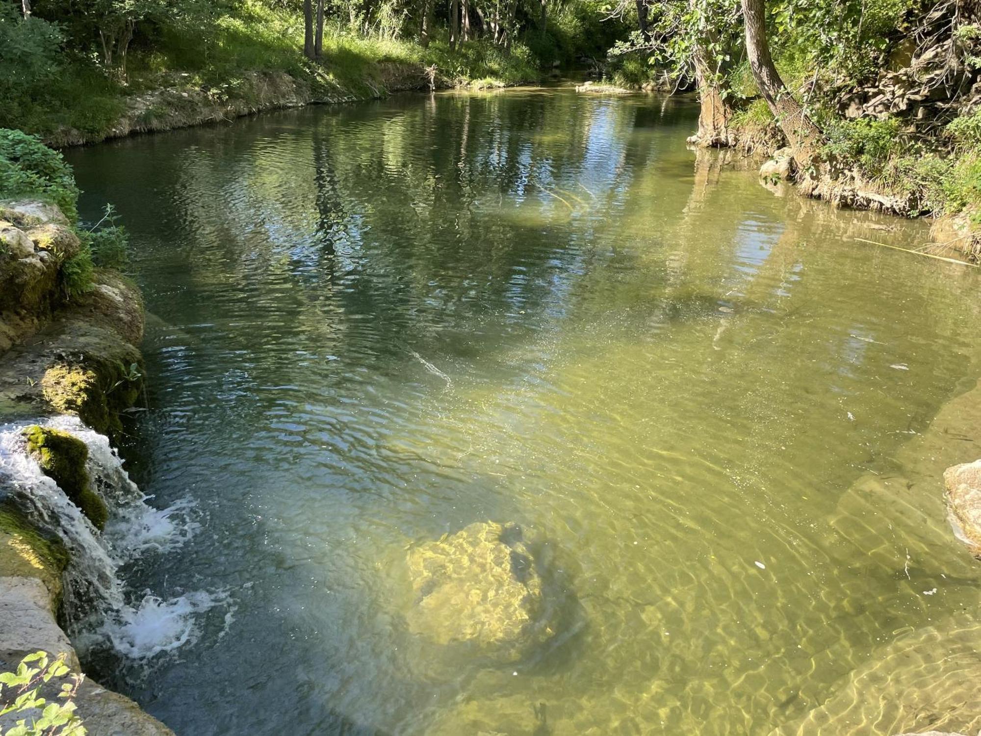 Servies-en-Val Le Domaine De La Tuilerie - Gite De Charme En Bord De Riviere Avec Piscine מראה חיצוני תמונה